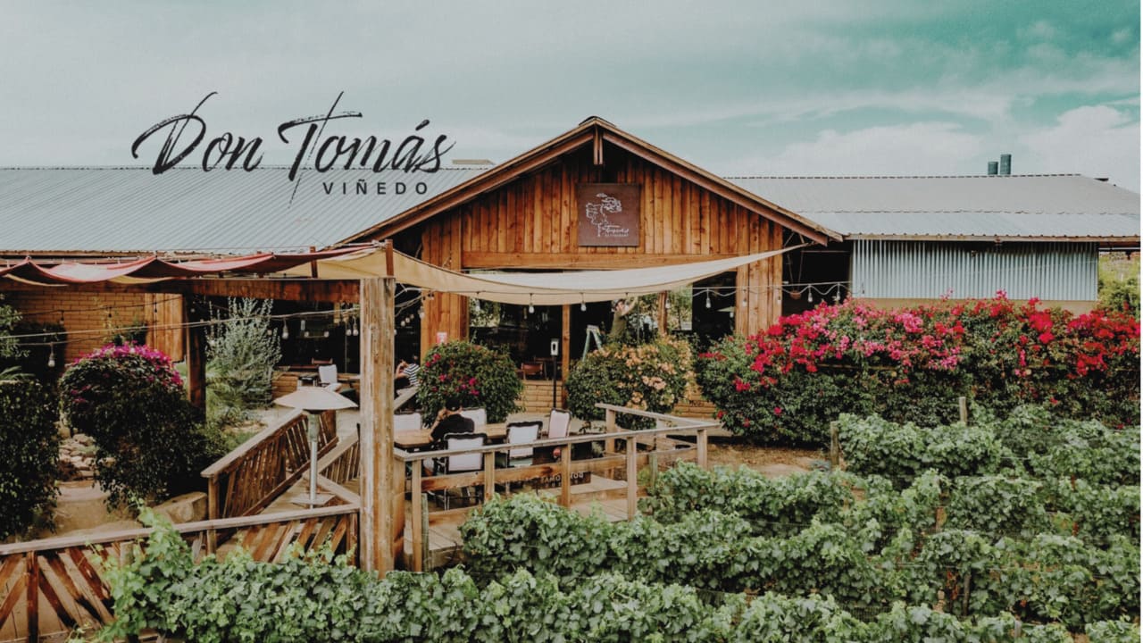 Don Tomás Viñedo cerca de 7 Valles en Valle de Guadalupe
